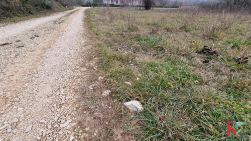 Thumbnail 6230441 - 2