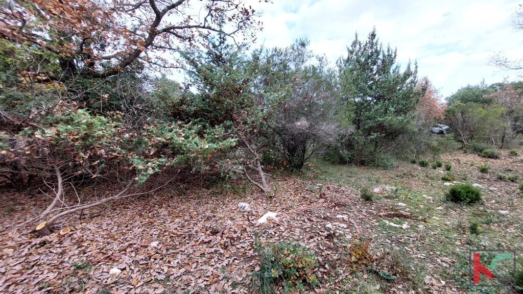 Image 6230445 - 14