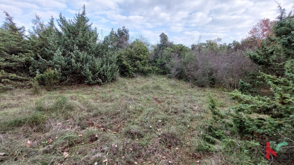 Image 6230445 - 10