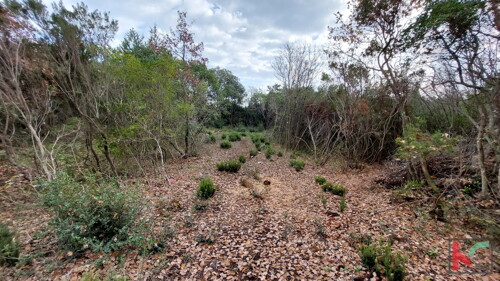 Thumbnail 6230445 - 3