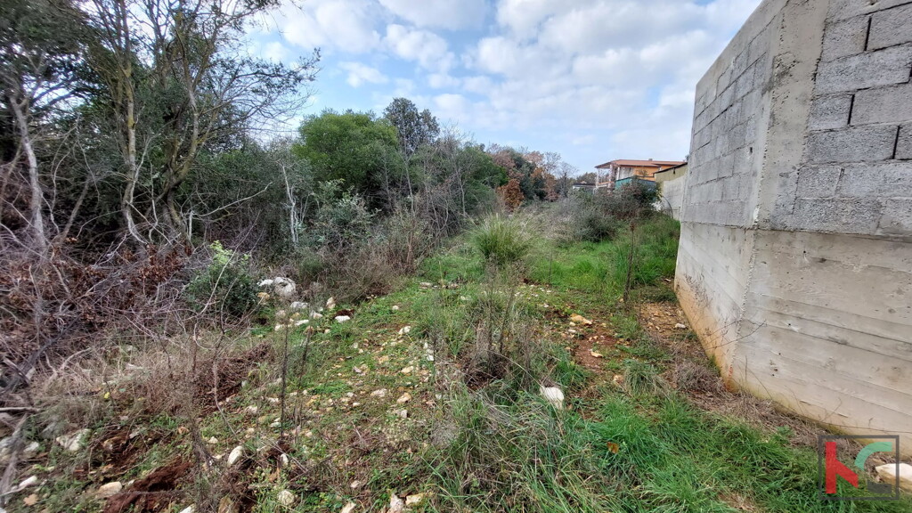 Image 6230445 - 6