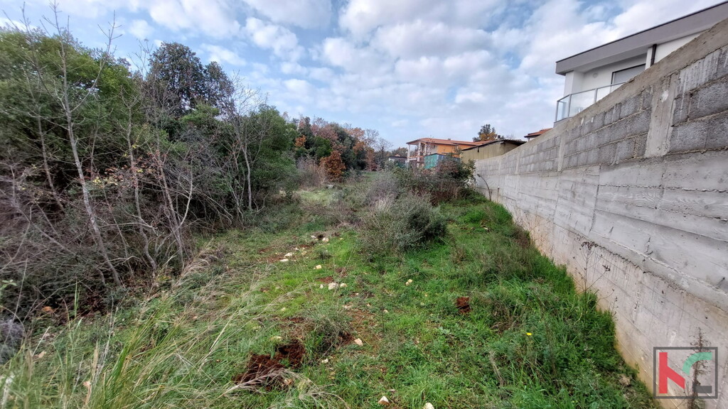 Image 6230445 - 5
