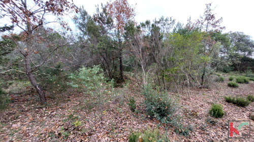 Thumbnail 6230445 - 12