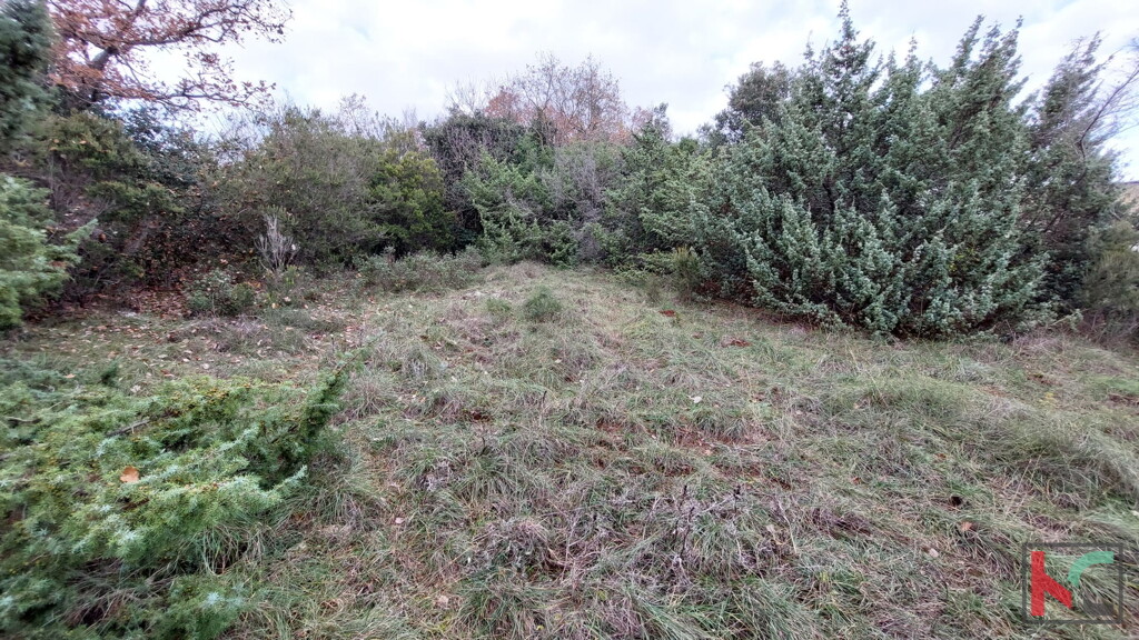 Image 6230445 - 11