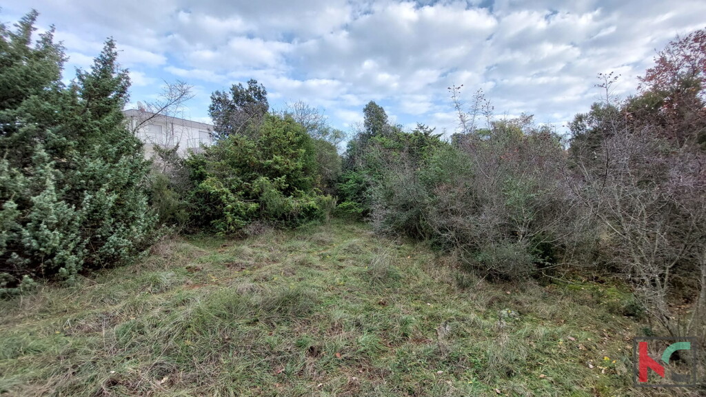 Image 6230445 - 9