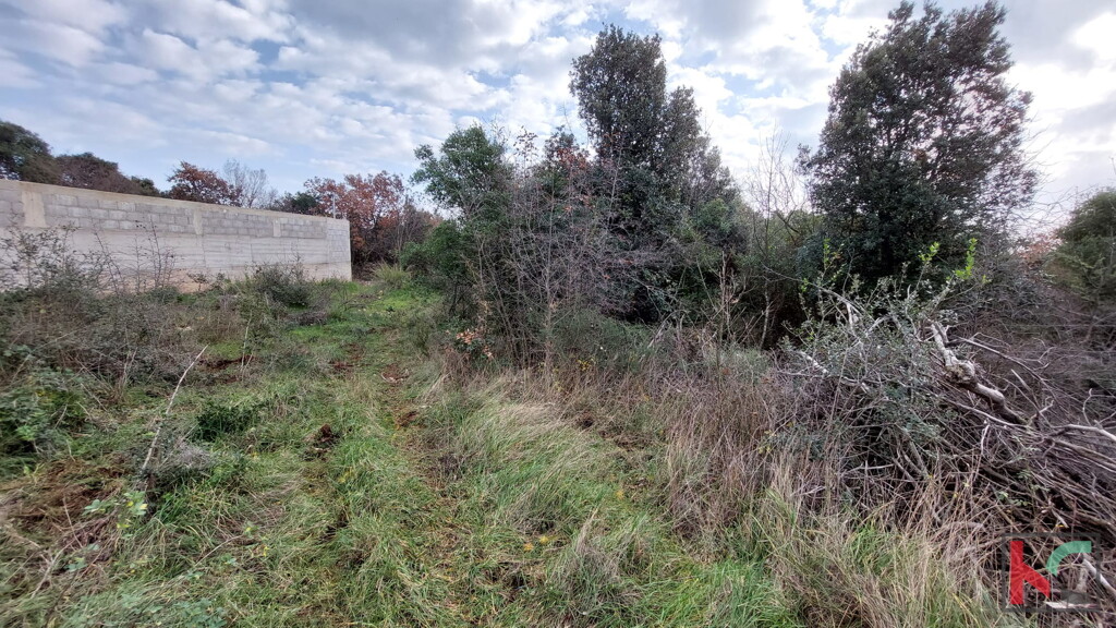 Image 6230445 - 4