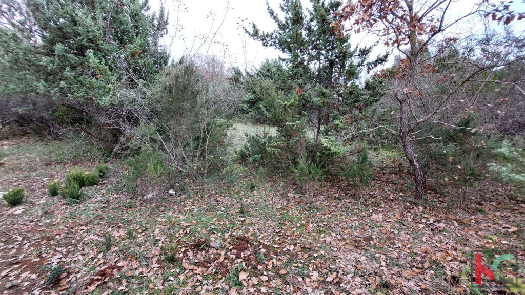 Image 6230445 - 13