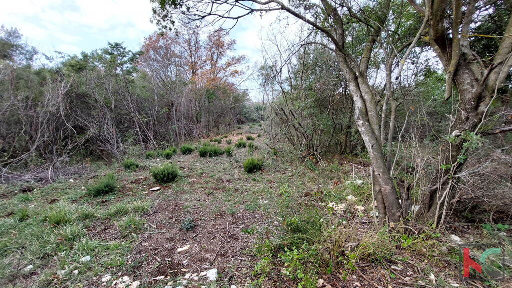Image 6230445 - 7