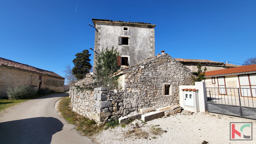 Image 6230449 - 8
