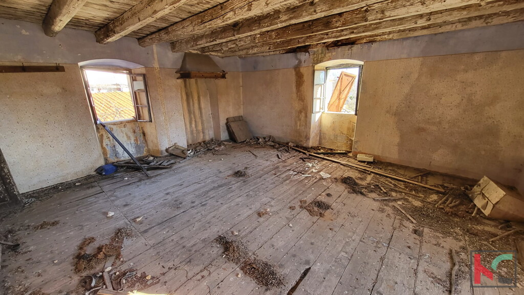 Image 6230449 - 17