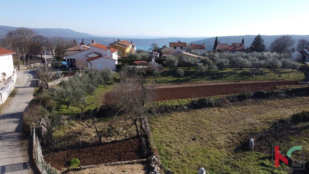 Image 6230450 - 8