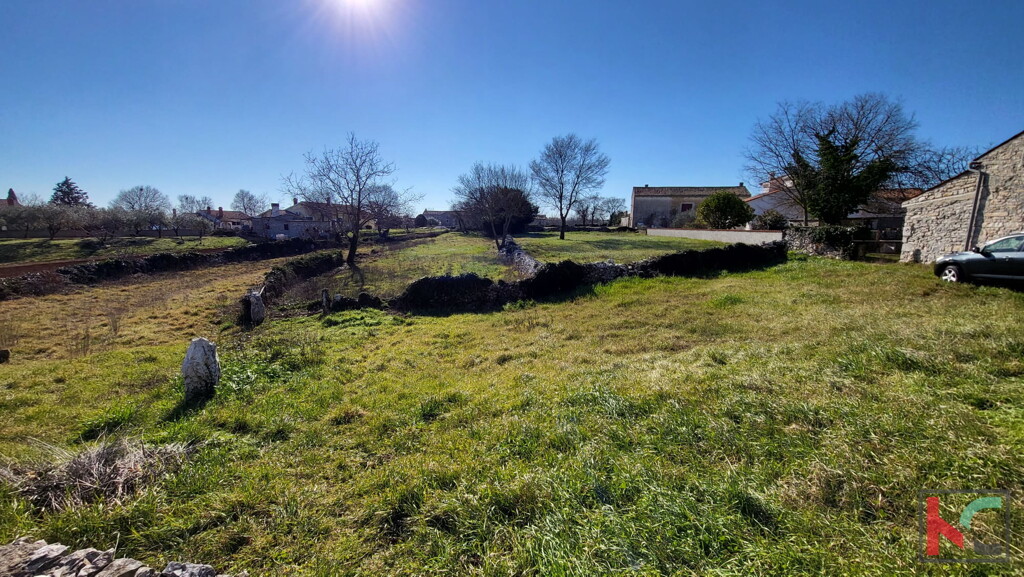 Image 6230450 - 11
