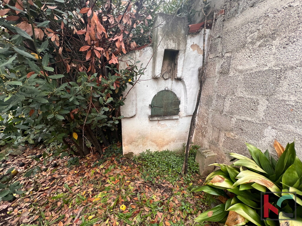 Image 6230452 - 12