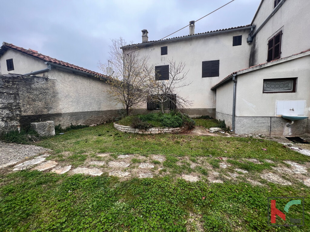 Image 6230452 - 2