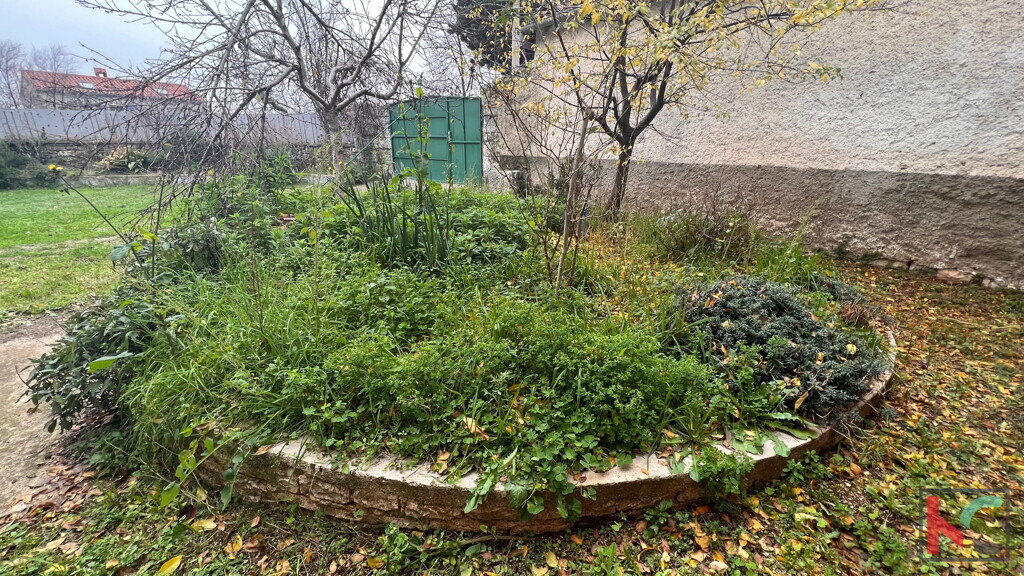 Image 6230452 - 17