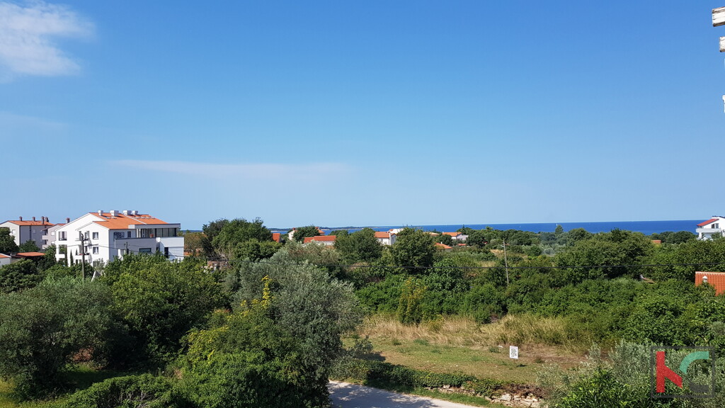 Image 6230460 - 1