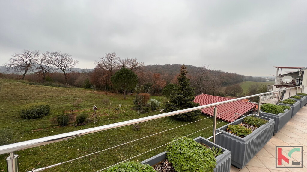 Image 6230463 - 5