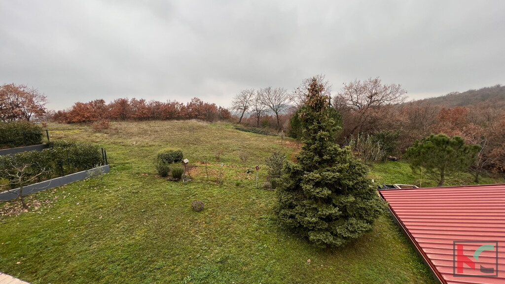 Image 6230463 - 14