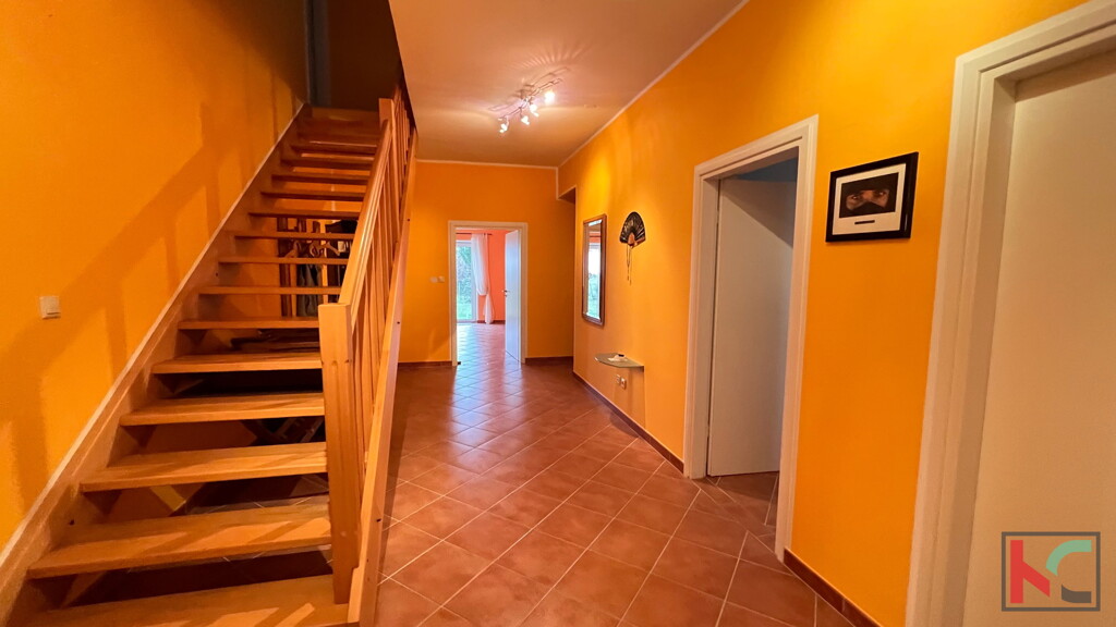 Image 6230463 - 9