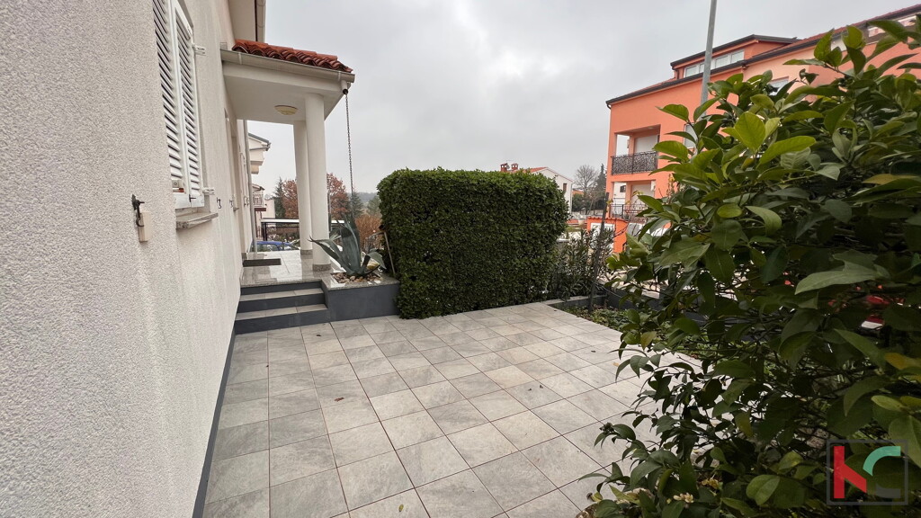 Image 6230463 - 4
