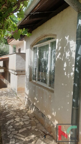 Thumbnail 6230474 - 9