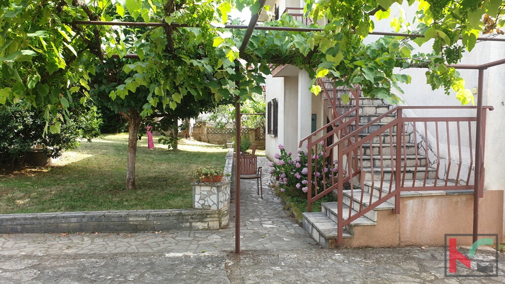 Image 6230474 - 4