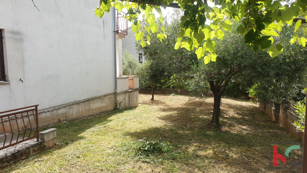 Image 6230474 - 15