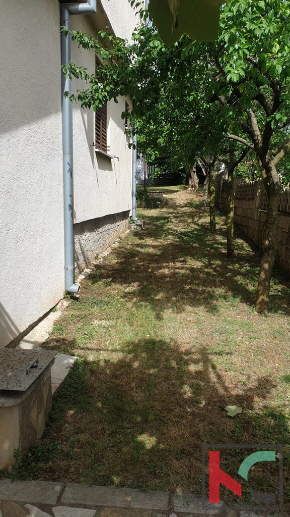 Image 6230474 - 11