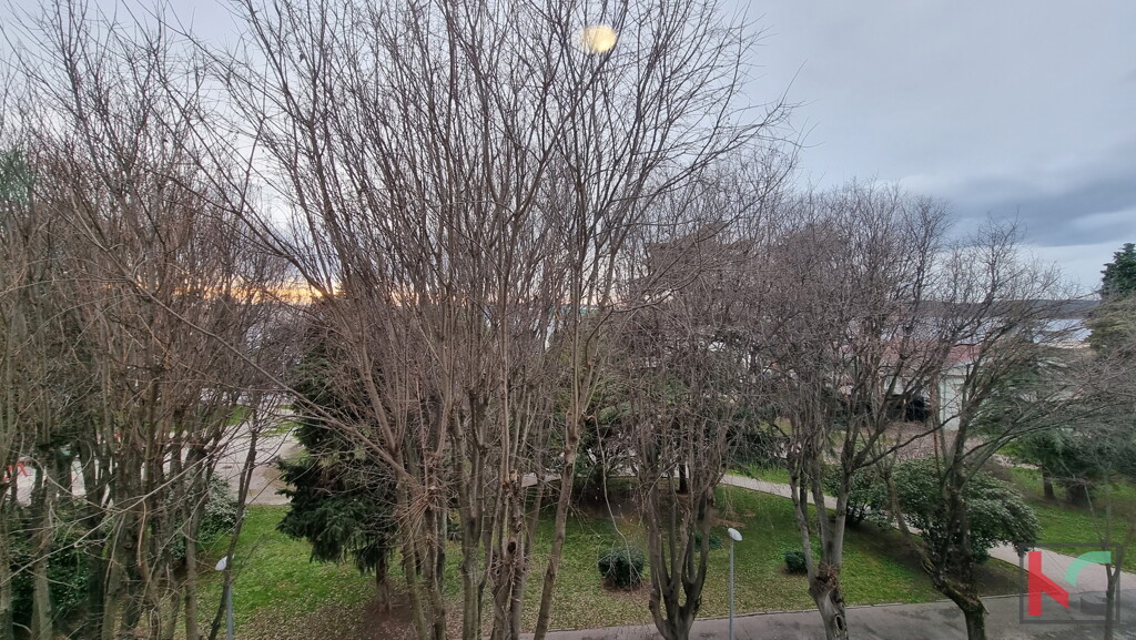 Image 6230481 - 1