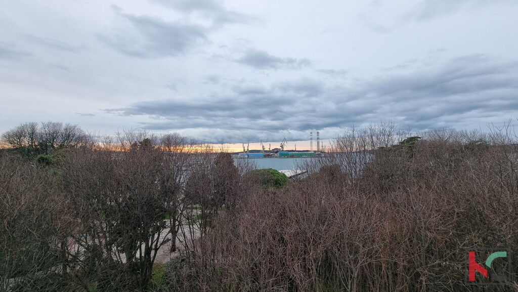 Image 6230481 - 11