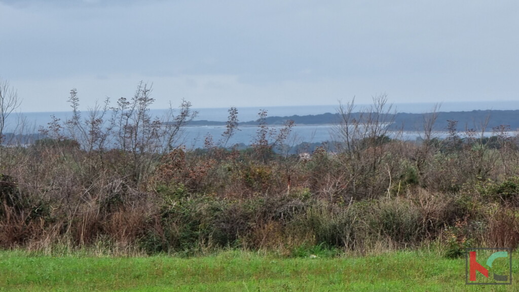 Image 6230488 - 3