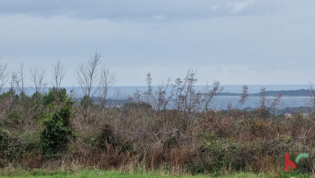 Image 6230488 - 1