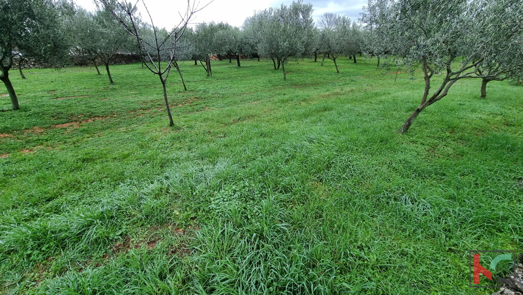 Image 6230488 - 6