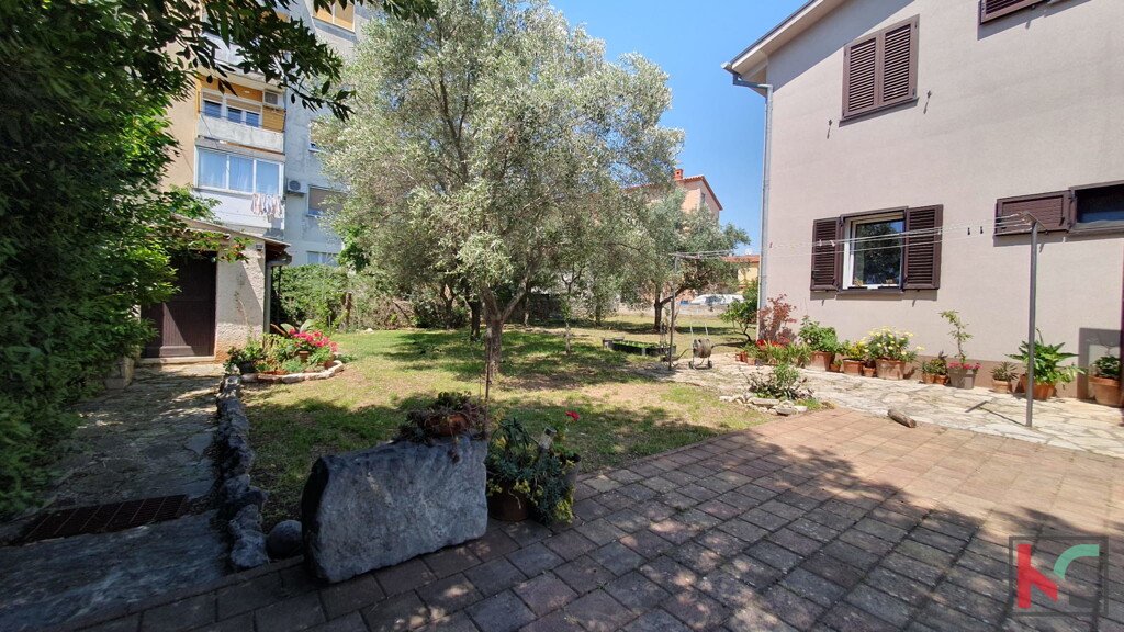 Image 6230514 - 16