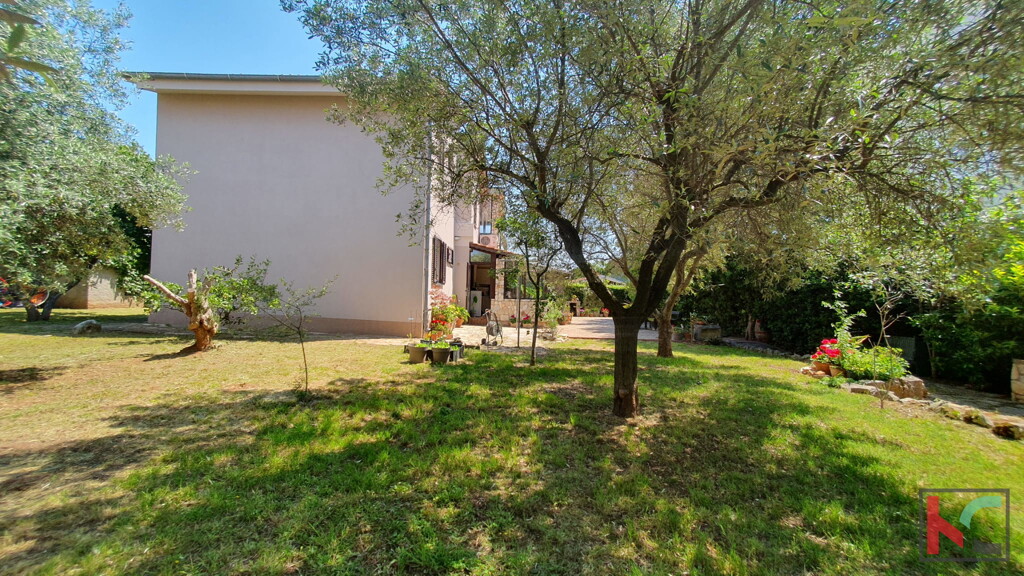 Image 6230514 - 4