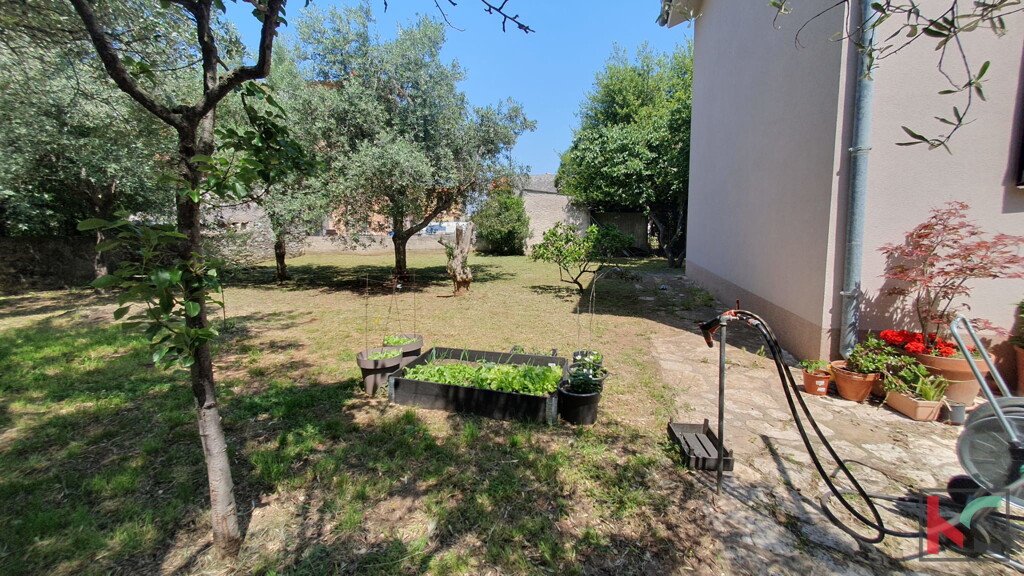Image 6230514 - 14