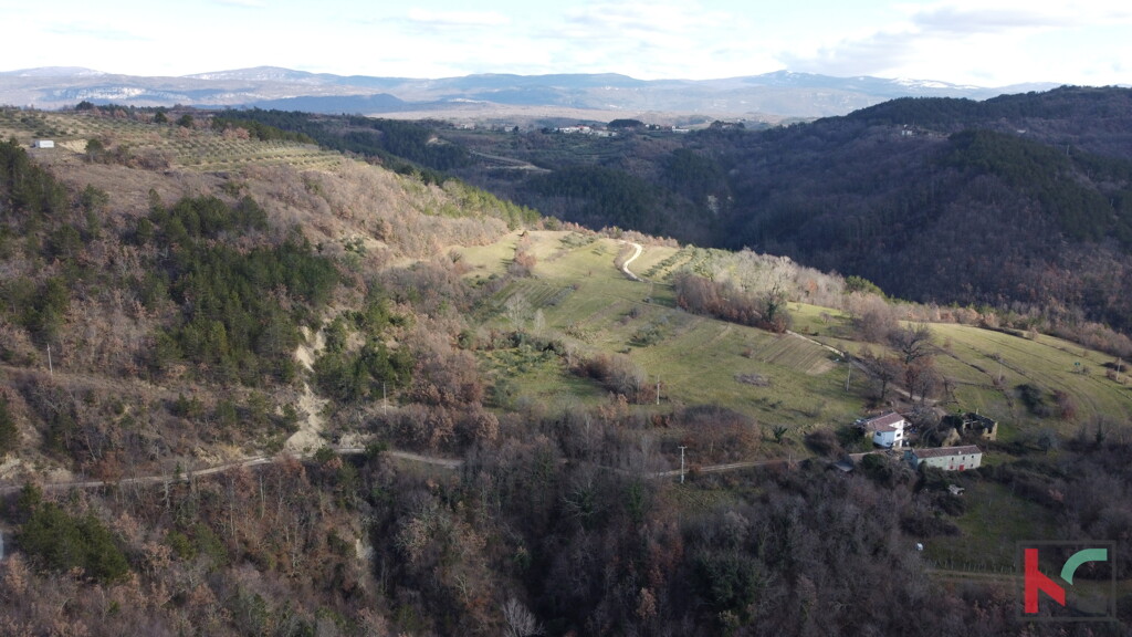 Image 6230518 - 30