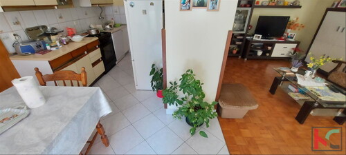 Thumbnail 6230523 - 3