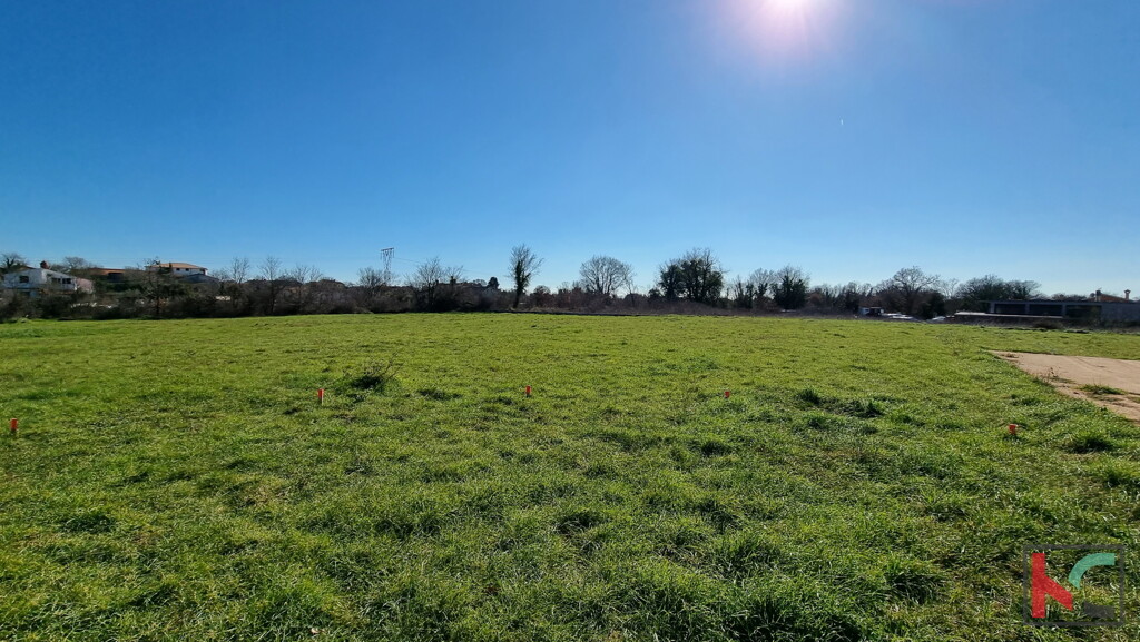 Image 6230526 - 4