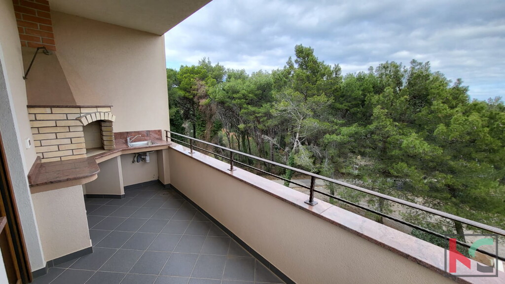 Image 6230527 - 1