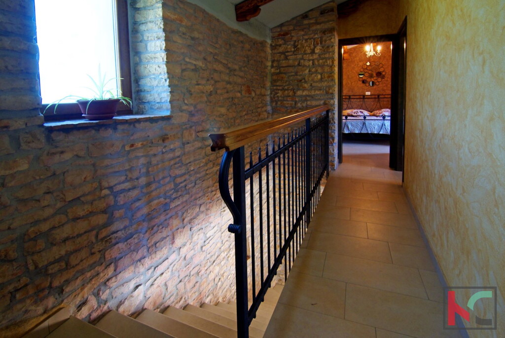 Image 6230529 - 13
