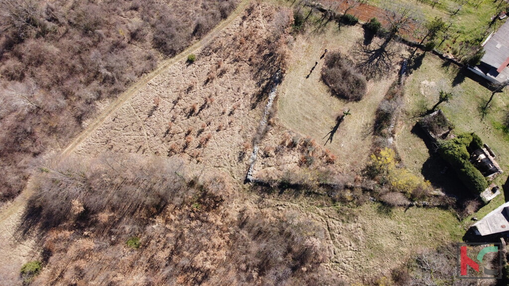 Image 6230534 - 14