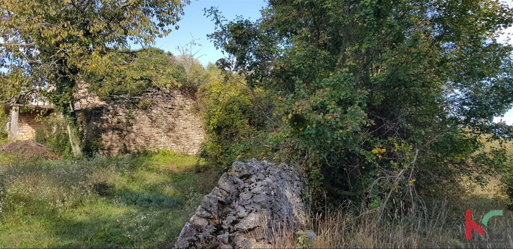 Image 6230534 - 9