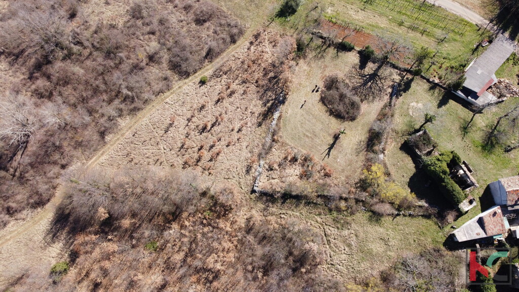 Image 6230534 - 15