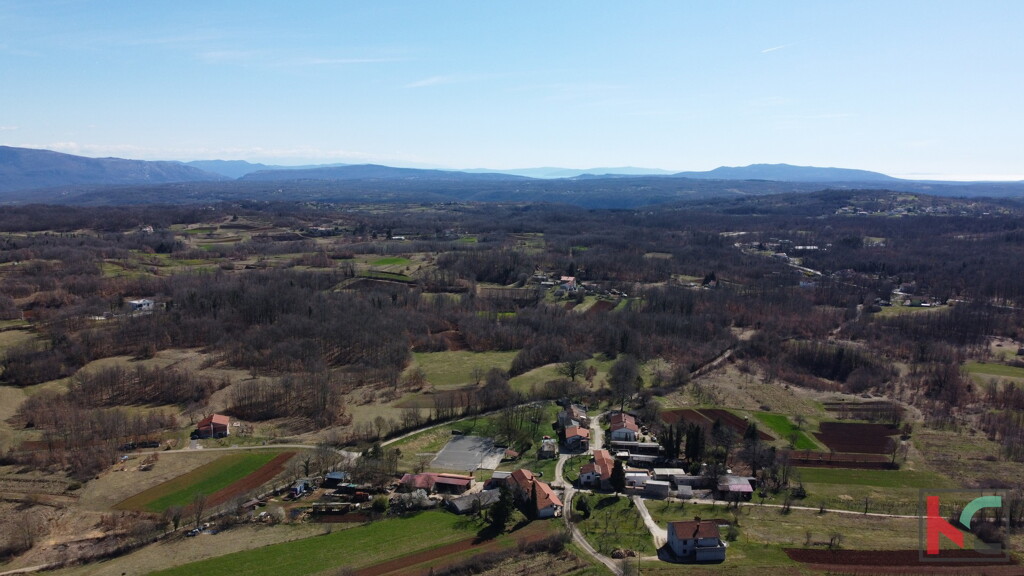 Image 6230534 - 26