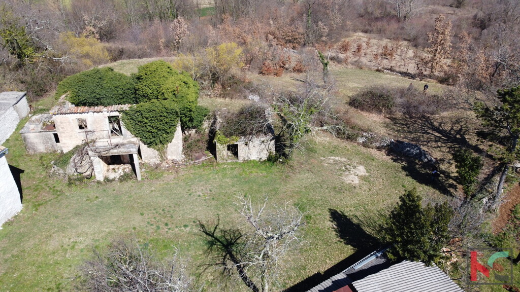 Image 6230534 - 2