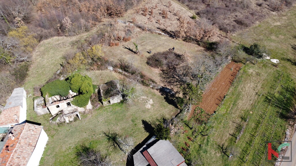 Image 6230534 - 22