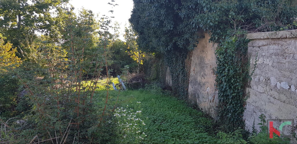Image 6230534 - 5