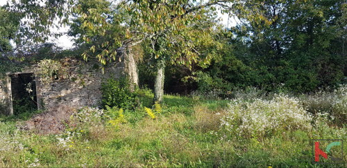 Thumbnail 6230534 - 8