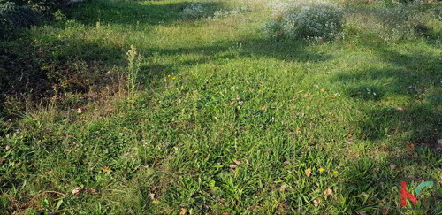 Thumbnail 6230534 - 10